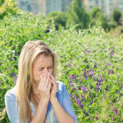 neutralizing pesky allergies naturally… neutralizing pesky allergies naturally…