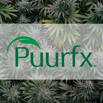 Introducing Puurfx, your guide to CBD