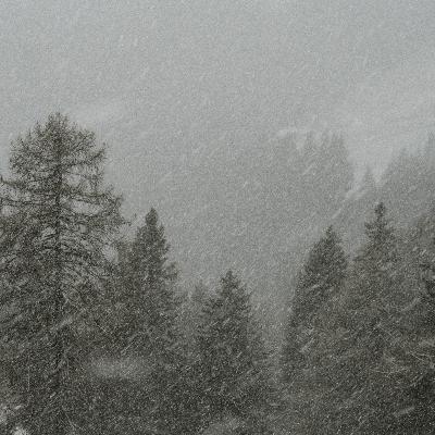 Cold Storm Wind for Deep Sleep, Relaxation & Focus – Powerful Winter Wind Ambience 9 Hours
