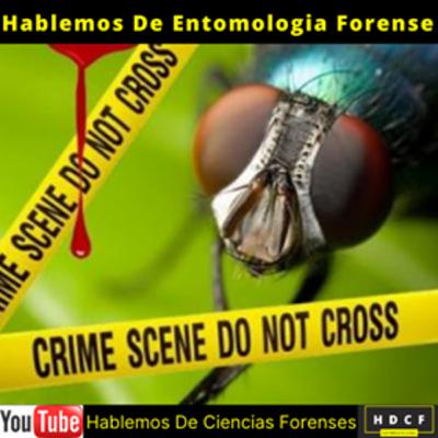Hablemos de Entomología Forense #19