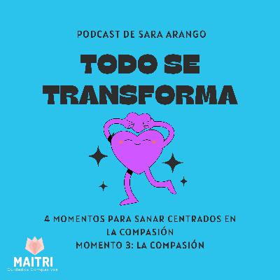 4 MOMENTOS PARA SANAR CENTRADOS EN LA COMPASIÓN. MOMENTO 3: LA COMPASIÓN
