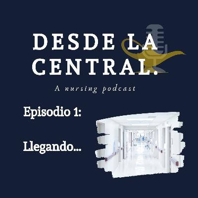 Llegando... Llegando...