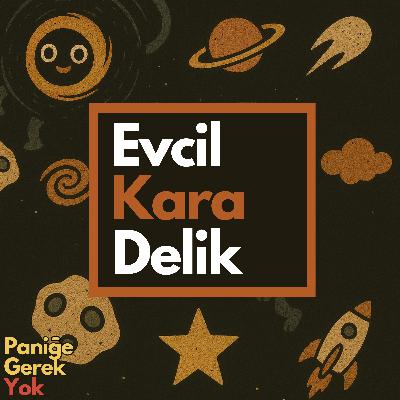 Evcil Kara Delik