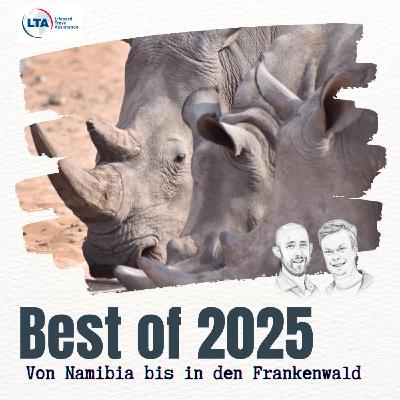 Schlangen anfassen und Olivenöl kosten: Das waren unsere schönsten Momente in 2025 Schlangen anfassen und Olivenöl kosten: Das waren unsere schönsten Momente in 2025