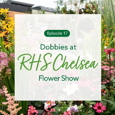 17: Dobbies at RHS Chelsea Flower Show