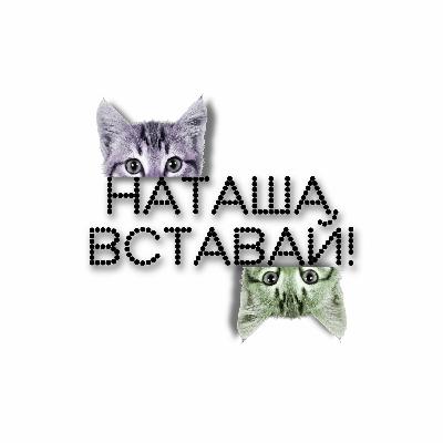 Наташа, вставай - 5. Тренд: он-лайн дегустации. Как офф-лайн профессию перенести в Интернет