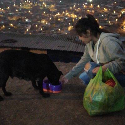 36: La historia de Perla y como nació "Escucha sus Ladridos"