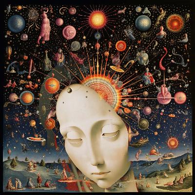 Which Brain Can See The Most Reality? | Infinite Now Ch16