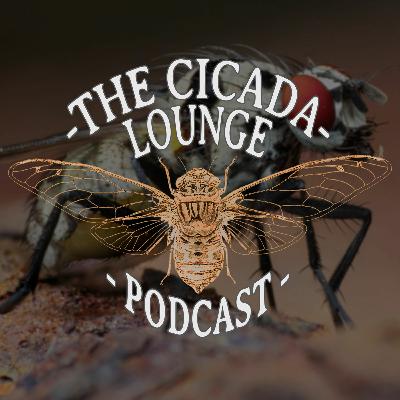 5 | Dr Erica McAlister | Senior Curator, Diptera | London Natural History Museum 5 | Dr Erica McAlister | Senior Curator, Diptera | London Natural History Museum