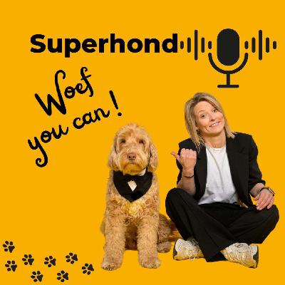 Meer rust binnenshuis: de sleutel tot relaxed wandelen met je hond #7