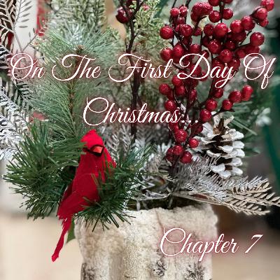 On The First Day Of Christmas... [A Drarry Podfic] Chapter 7