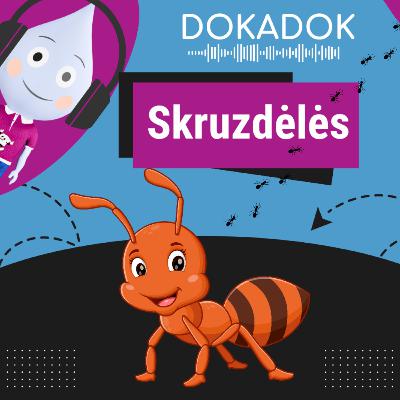 Skruzdėlės 🐜