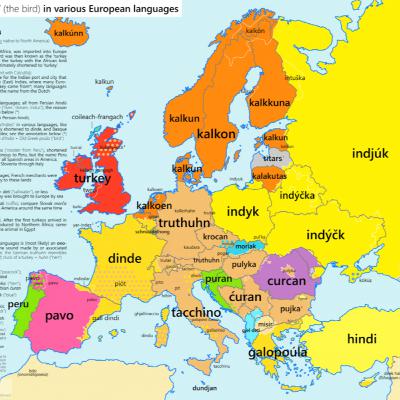 How do Turkish call Turkey, the bird ?