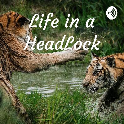 Welcome to Life in a Headlock