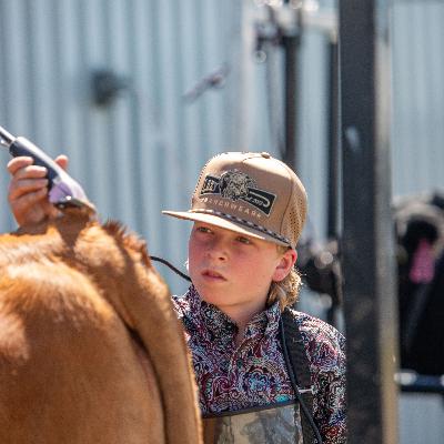 Gelbvieh, Growing with Today's Youth