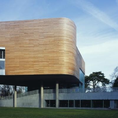 New exhibition features life-size skeletons of Irish dinosaurs