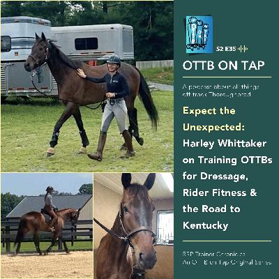 S2 E35: Expect the Unexpected: Harley Whittaker on Training OTTBs for Dressage,  Rider Fitness & the Road to Kentucky | RRP Trainer Chronicles