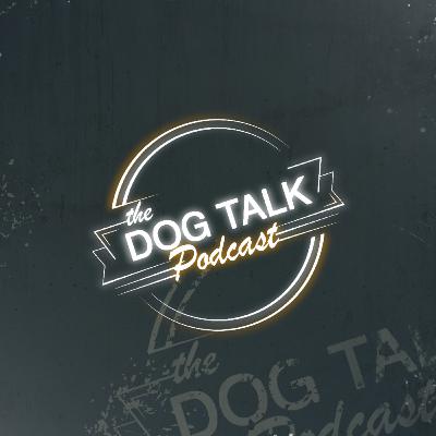 Αναλύοντας το Youtube// Συνέντευξη με τον Δημήτρη Τσαμπίρα από το Seventh Art Films! Αναλύοντας το Youtube// Συνέντευξη με τον Δημήτρη Τσαμπίρα από το Seventh Art Films!