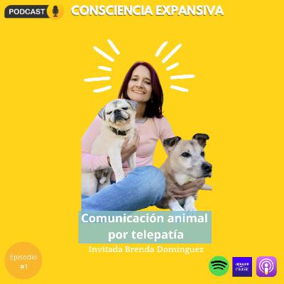 01 | Comunicación animal por telepatía con Brenda Domínguez