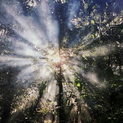 From Enlightenment to Enigma: Illuminati Across the Ages