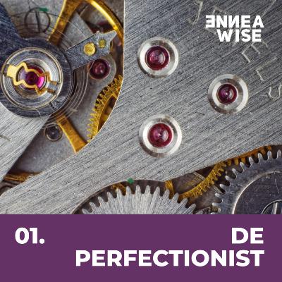 type 1: De Perfectionist