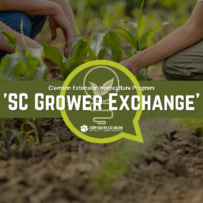 The SC Grower Exchange: December 1, 2025
