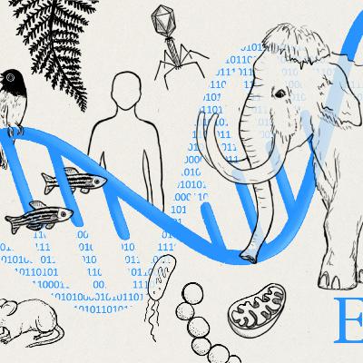Ep 2: Evo2: An AI model for life