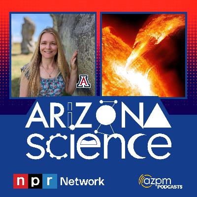 Tracking solar storms through tree ring research