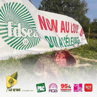 SAISON 3 - Numéro 11 (Best of)