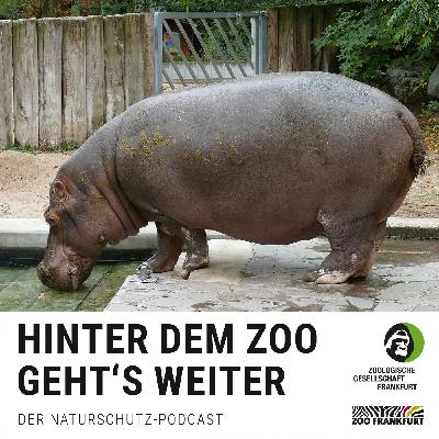 H2O im Zoo: Vom kleinen Becken zum riesigen Weiher