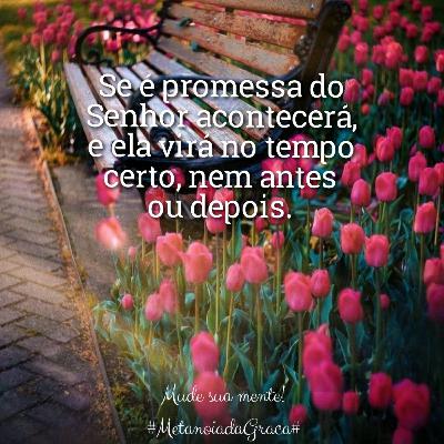 0024♡Esperar é confiar... 0024♡Esperar é confiar...