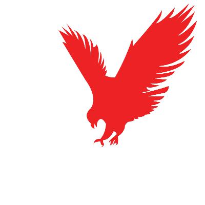 Hawk Takes 12-5-19 Hawk Takes 12-5-19
