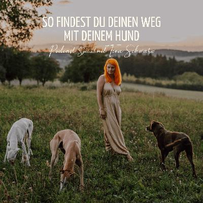 So findest du deinen Weg mit deinem Hund So findest du deinen Weg mit deinem Hund