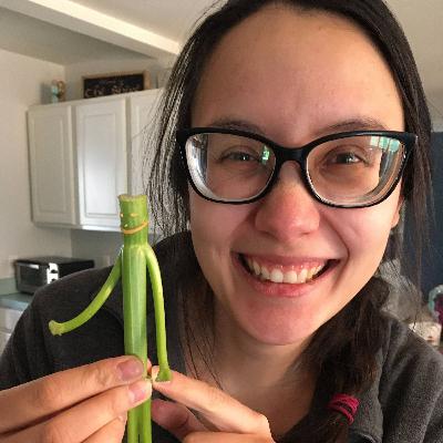 Picky Eaters and More: An Occupational Therapist's Perspective on Feeding