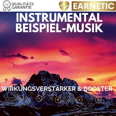 EARNETIC Wirkungsverstärker und Booster - INSTRUMENTAL