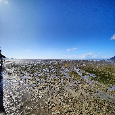 Sightseeing Townsville, The Open Road and More!