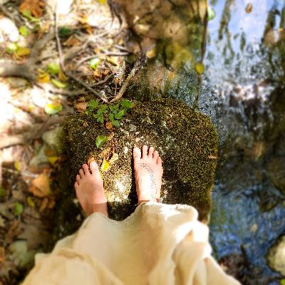 Épisode 26 - La séparation