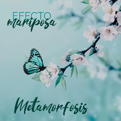 Ep. 01: Metamorfosis Ep. 01: Metamorfosis