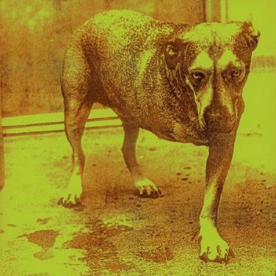 5. Alice in Chains