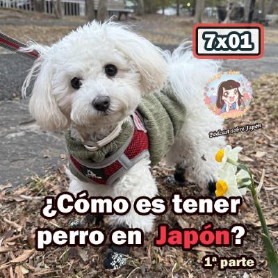 7x01 ¿Cómo es tener perro en Japón? (1ª parte) - Te cuento mi experiencia 7x01 ¿Cómo es tener perro en Japón? (1ª parte) - Te cuento mi experiencia