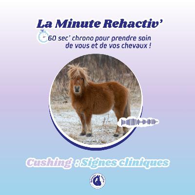 Le syndrome de Cushing : les signes cliniques