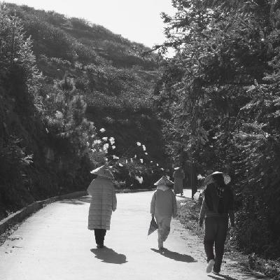 去寺庙做义工，是一种什么样的体验？