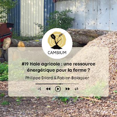 #19 - Haie agricole : une ressource énergétique pour la ferme ?