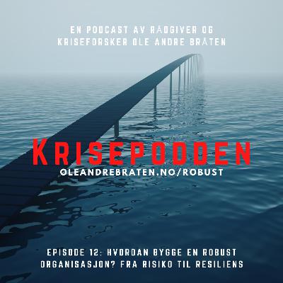 Hvordan bygge en robust organisasjon? Fra risiko til resiliens!