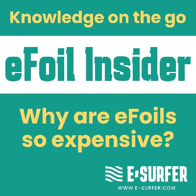 Why are eFoils so expensive? Why are eFoils so expensive?