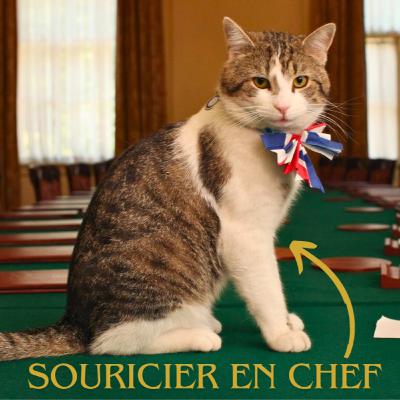 Les Chats, Nouveaux Maîtres de la Diplomatie Mondiale ?