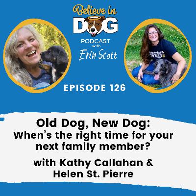 Old Dog, New Dog: When’s the right time for your next family member? with Kathy Callahan and Helen St. Pierre