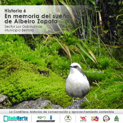Historia 6 / En memoria del sueño de Albeiro Zapata