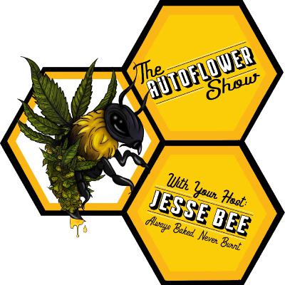 Autoflower 101 taught by @firebudz101 Returns: Class 2