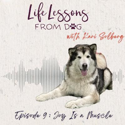 oy Is a Muscle: Practicing Delight with a Little Help from Our Dogs
